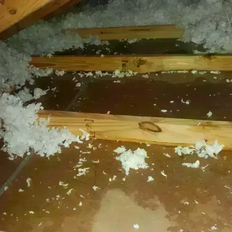 Attic Water Damage in Norwalk, CT